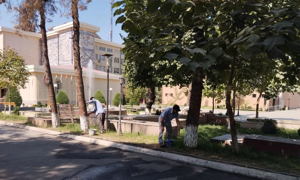 Tashkent State Medical University campus courtyard and academic building during a grounds-maintenance event
